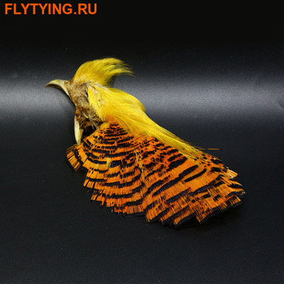 Royal Sissi 53317    Golden Pheasant Complete Head