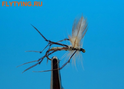 Pacific Fly Group 11241   Crane Fly Adult ()