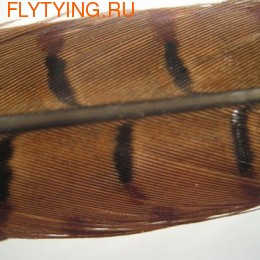 Hends Products 53045    Pheasant Tail