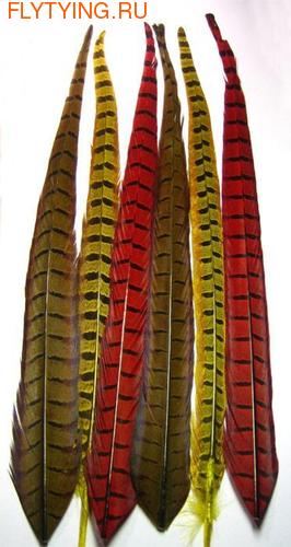 Spirit River 53046   Ringneck Pheasant Tail Center