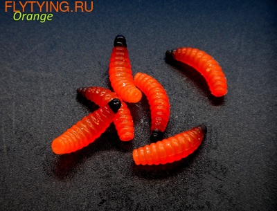 SFT-studio 19255   Larvae of Bark Beetle ()