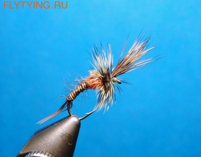 SFT-studio 12004    PMD Emerger