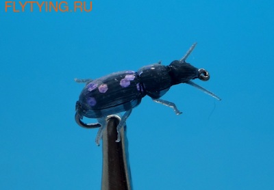 SFT-studio 14540    Purple Flash Beetle ()
