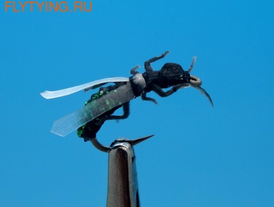 SFT-studio 14541  Green Fly ()