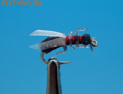 SFT-studio 14543  Flying Ant ()