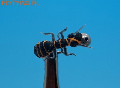 SFT-studio 14544  Ginger Forest Ant ()