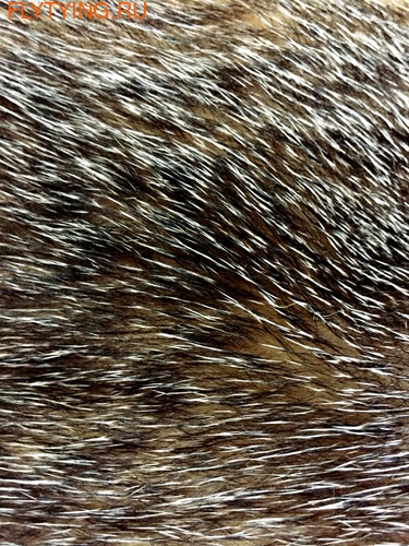 SFT-studio 52438   Badger Fur ()