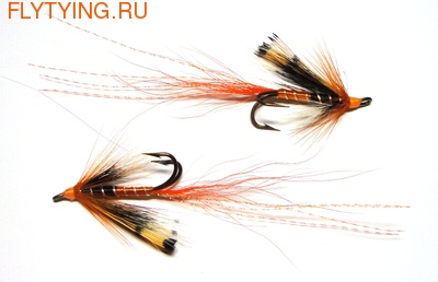 SFT-studio 16015   Ally's Shrimp