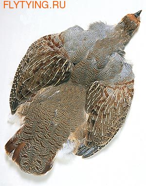 WAPSI 53051    PARTRIDGE COMPLETE SKIN