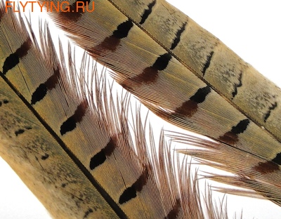 WAPSI 53057 Фазана охотничьего самца хвостовые перья PHEASANT CENTRE TAILS