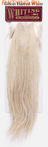WHITING 53035   Eurohackle Saddle