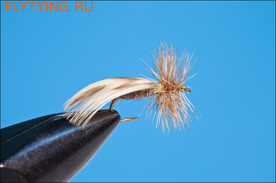 A.Jensen 11066   E-12 Brown