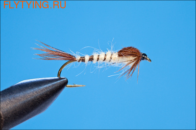 14153 ����� ����� Walkers Mayfly