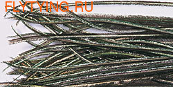 WAPSI 53000    Peacock Herl Strung