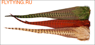 Nature's Spirit 53058    Ringneck Pheasant Complete Tails