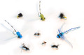 Kola Salmon 20019   Terrestrial Fly Set