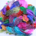 SFT-studio 53010   Guinea Feathers