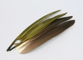 WAPSI 53097    GOOSE QUILLS