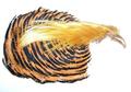 Veniard 53106   Golden Pheasant Complete Head