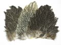 WAPSI 53145   Soft Hackle Hen Saddle Patches