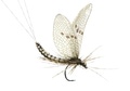 J:son&Co 58306     Realistic Wing Material For Mayfly Emerger / Dun / Spent