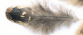 Veniard 53203    Pheasant Hen Ringneck Shoulder Feathers Natural