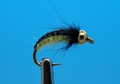 Mikkus & Caddis 14219    GH Caddis Larva Black Back Cream