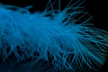 A.Jensen 53221   Marabou Feather