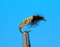 Artflies 14392    Vinyl Back Caddis Larva Olive