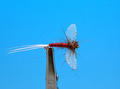 Artflies 11197 Сухая мушка Burnt Wing Spinner Rusty