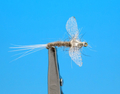 Artflies 11199   Burnt Wing Spinner Gray