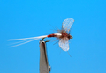 Artflies 11201   Burnt Wing Spinner Blue Quill