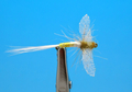 Artflies 11202   Burnt Wing Spinner Light Cahill