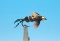 Pacific Fly Group 14452   Bead Zug Bug