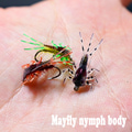 Royal Sissi 58356  Mayfly Nymph Body Set