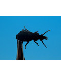 SFT-studio 14539 Мушка имитация жука Ground Beetle